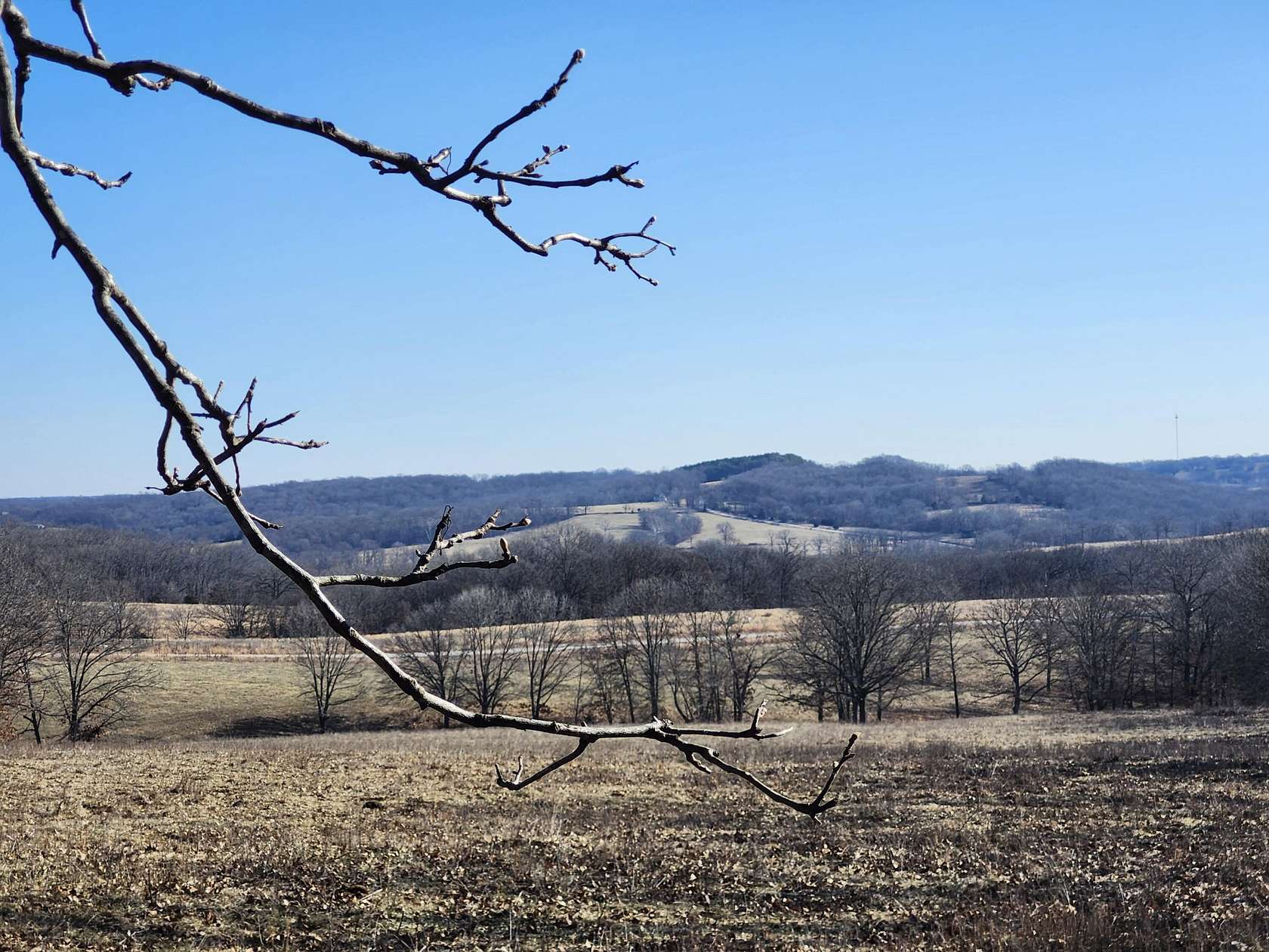 32.8 Acres of Land for Sale in Manes, Missouri