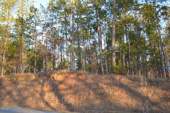 19.6 Acres of Land for Sale in Juliette, Georgia