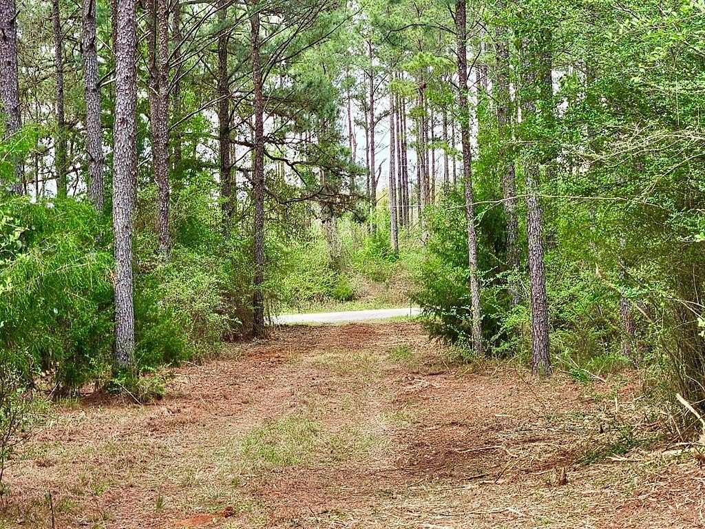 70 Acres of Land for Sale in Headland, Alabama