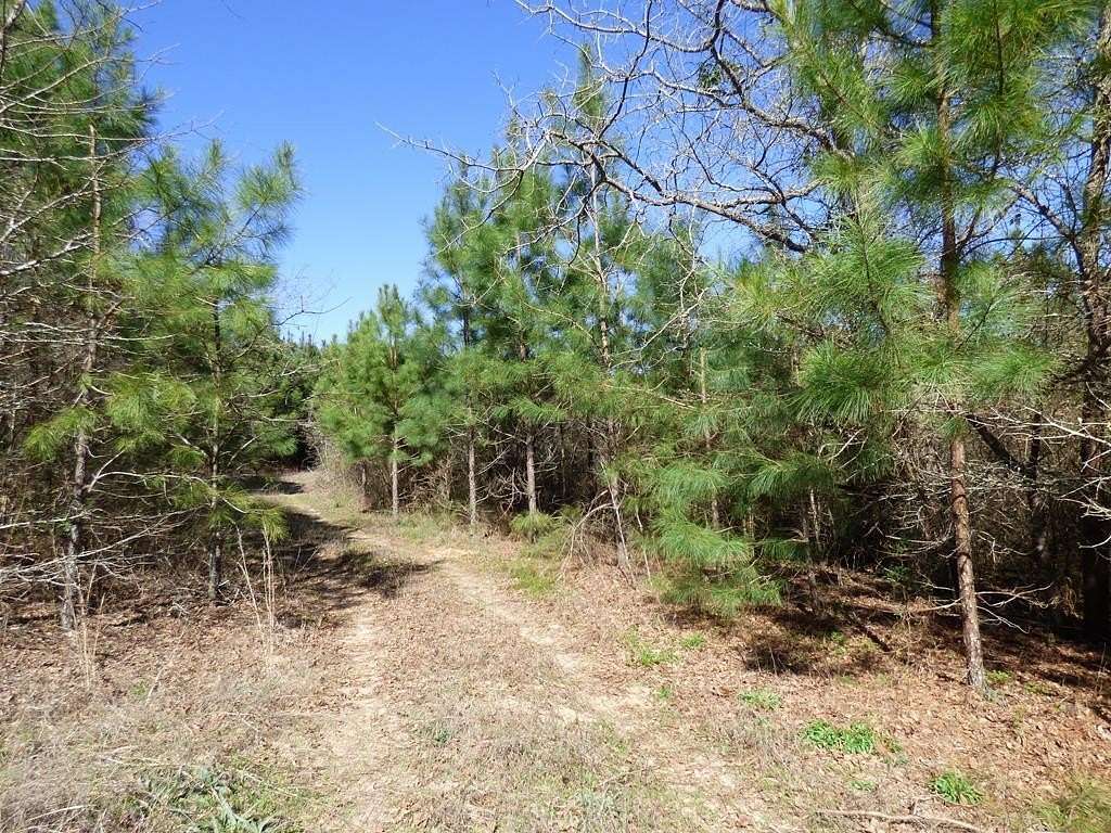 21.6 Acres of Recreational Land for Sale in Cushing, Texas