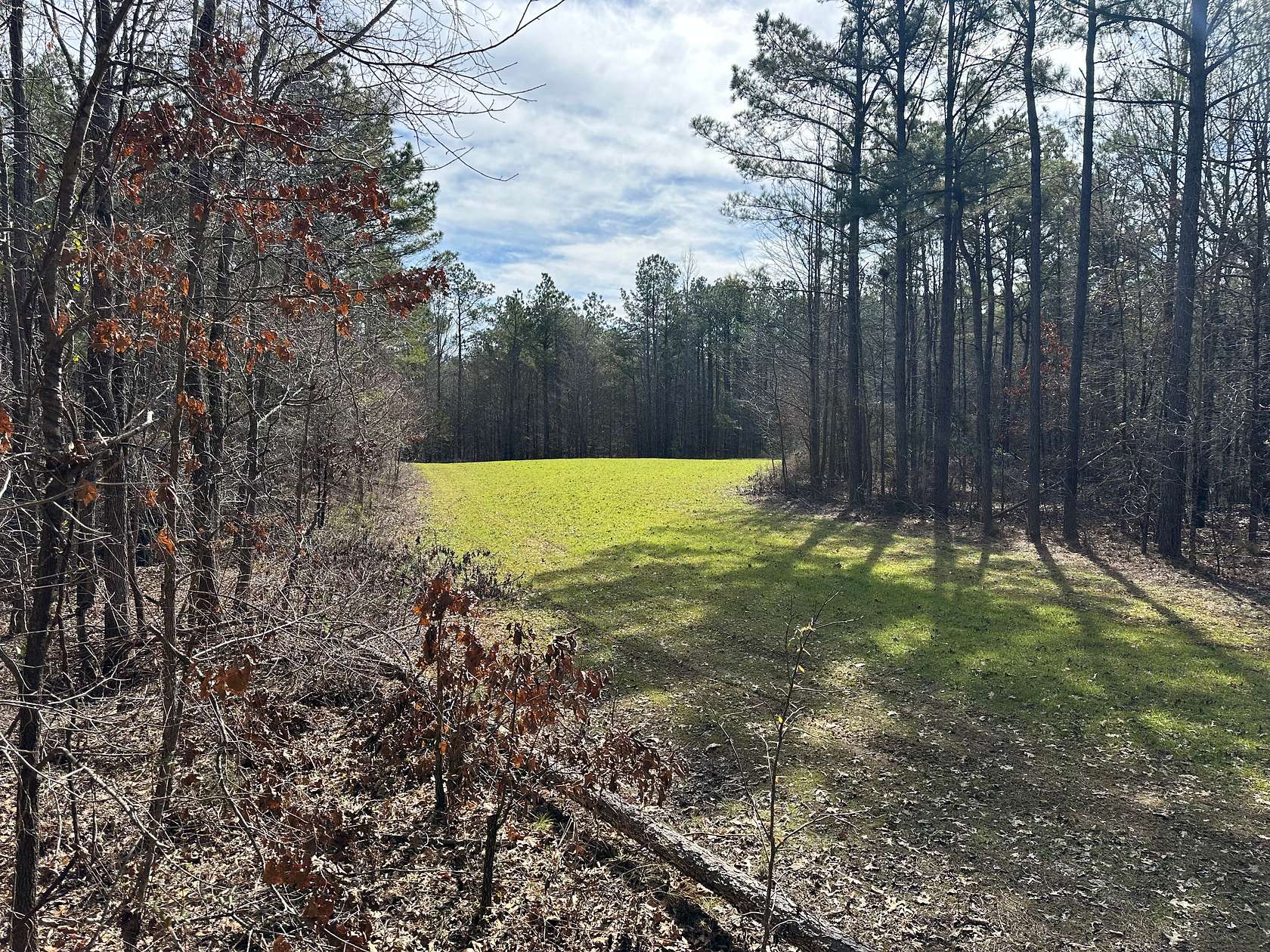 174 Acres of Recreational Land for Sale in Holly Springs, Mississippi