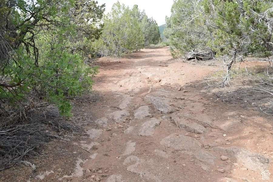 165 Acres of Recreational Land & Farm for Sale in Levan, Utah