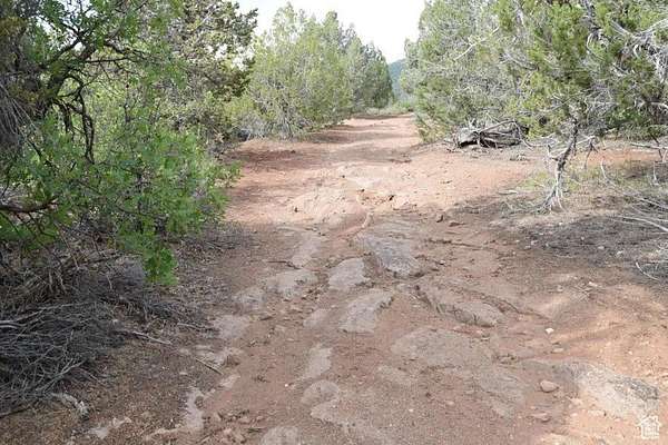 165 Acres of Recreational Land & Farm for Sale in Levan, Utah