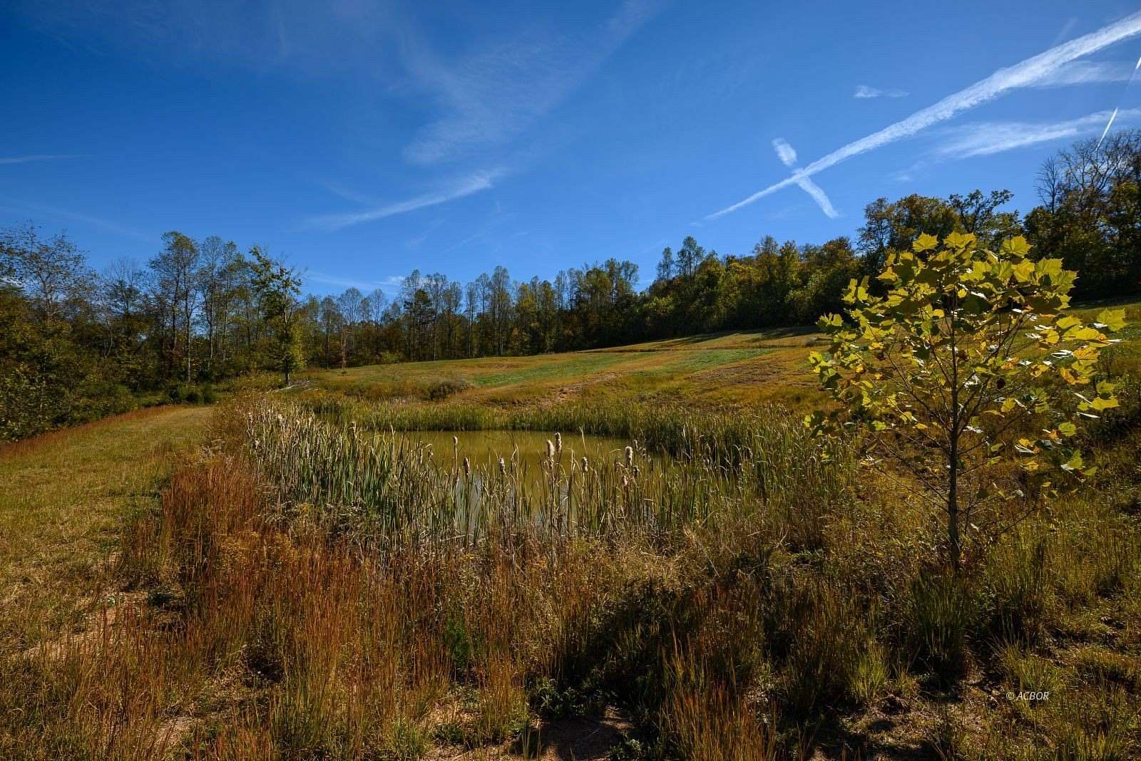 11 Acres of Land for Sale in Gallipolis, Ohio