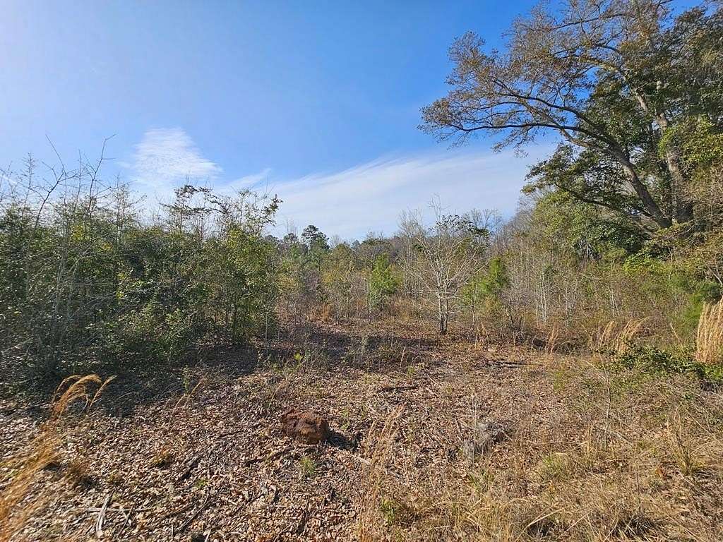 14.5 Acres of Land for Sale in Slocomb, Alabama