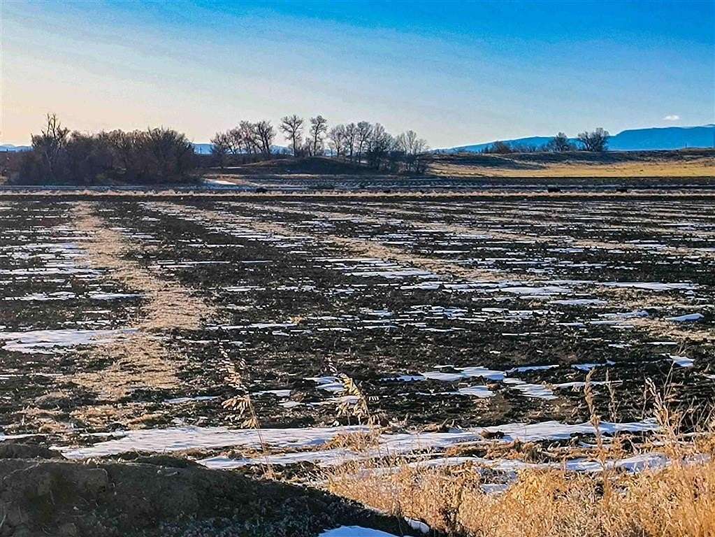 69.7 Acres of Agricultural Land for Sale in Powell, Wyoming