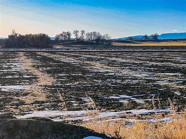 69.7 Acres of Agricultural Land for Sale in Powell, Wyoming