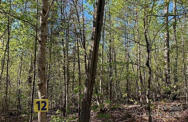 1.18 Acres of Residential Land for Sale in Marion, North Carolina