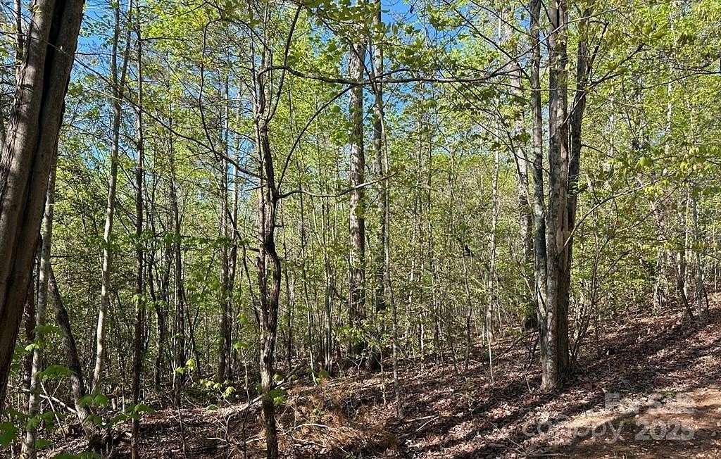 1 Acre of Residential Land for Sale in Marion, North Carolina