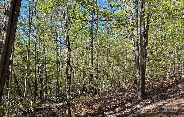 1 Acre of Residential Land for Sale in Marion, North Carolina