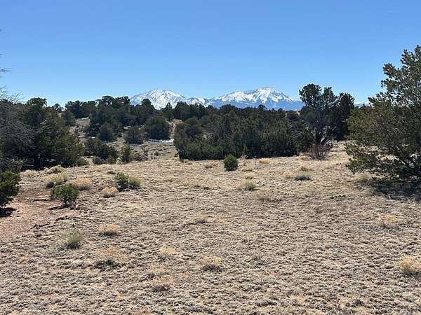 40 Acres of Land for Sale in Walsenburg, Colorado
