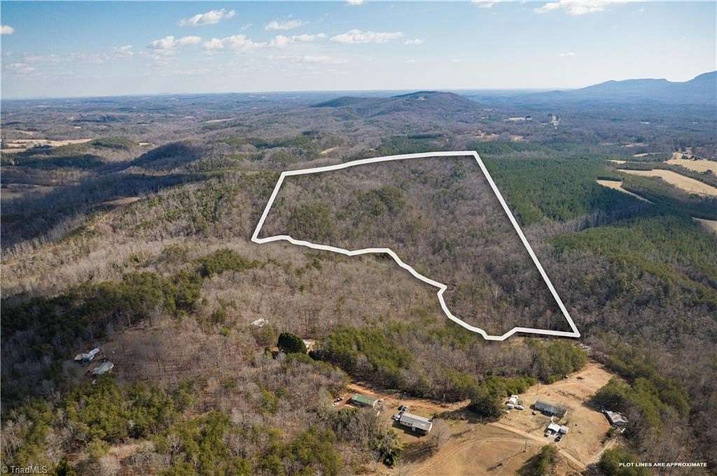 74.8 Acres of Agricultural Land for Sale in Westfield, North Carolina