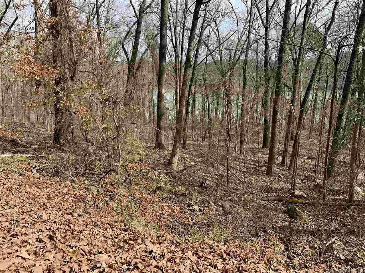 1.22 Acres of Residential Land for Sale in Edgemont, Arkansas