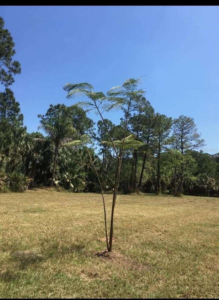 6 Acres of Land for Sale in Kissimmee, Florida