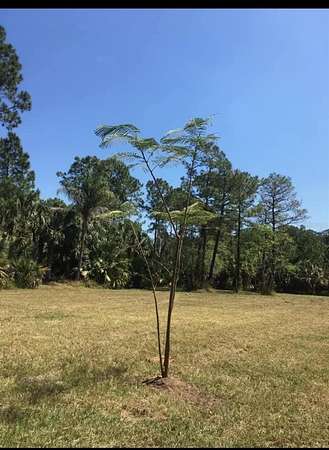 6 Acres of Land for Sale in Kissimmee, Florida