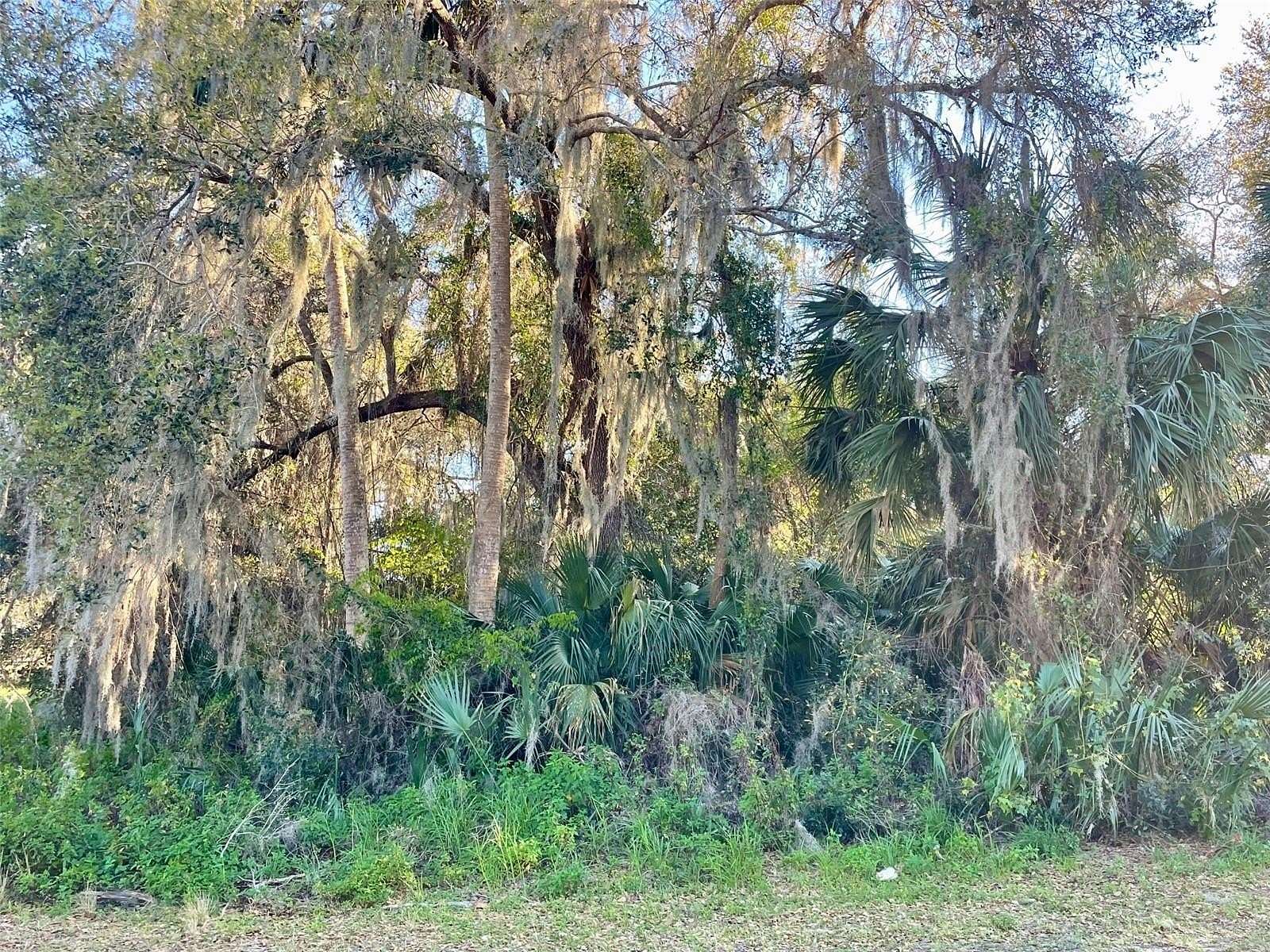 0.46 Acres of Residential Land for Sale in Osteen, Florida