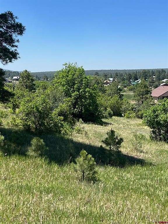 0.41 Acres of Residential Land for Sale in Pagosa Springs, Colorado
