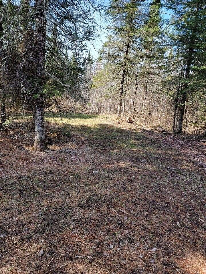 30.1 Acres of Recreational Land for Sale in Loretta, Wisconsin