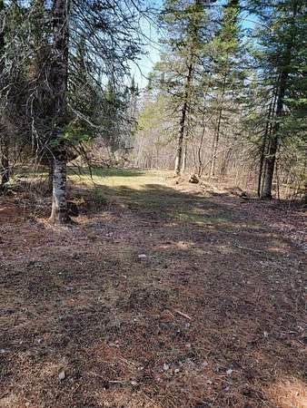 30.1 Acres of Recreational Land for Sale in Loretta, Wisconsin