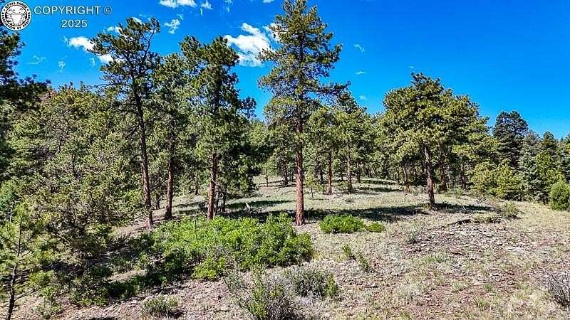 36.6 Acres of Recreational & Residential Land for Sale in Cañon City, Colorado
