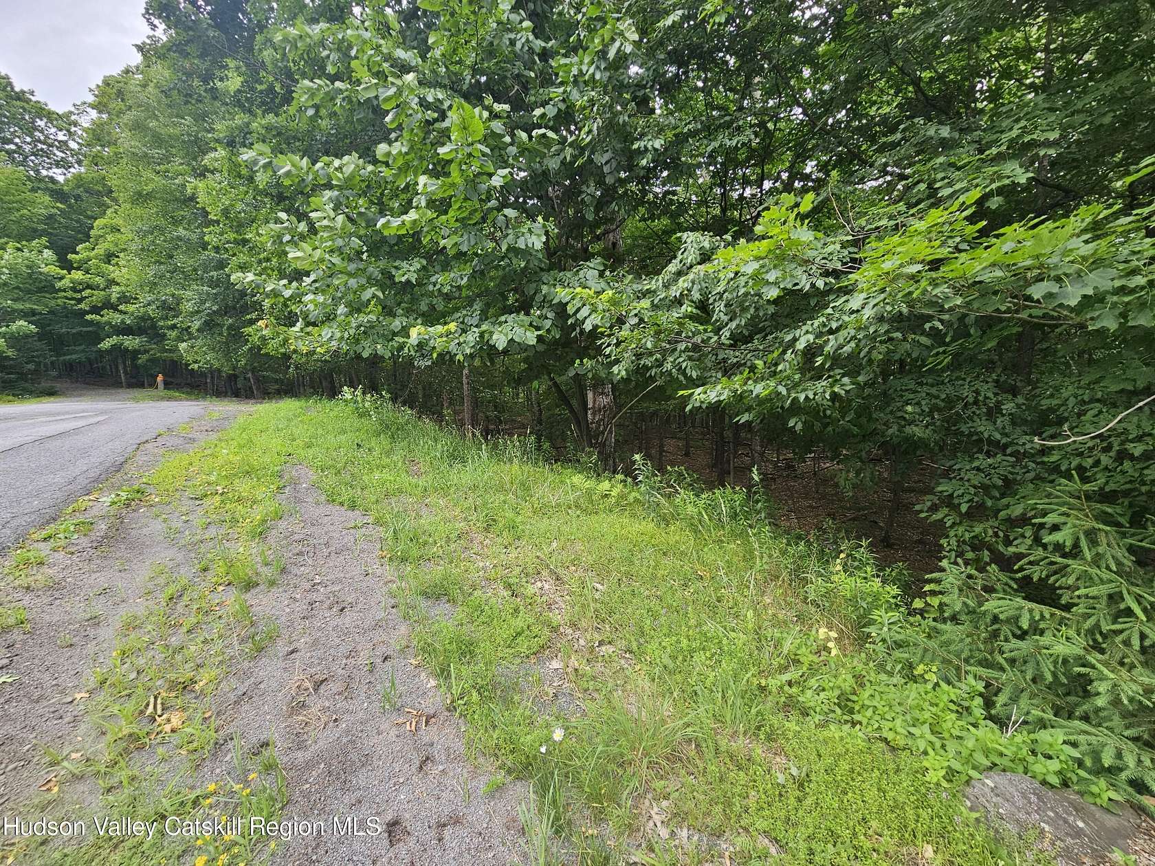 5.4 Acres of Land for Sale in Jewett, New York