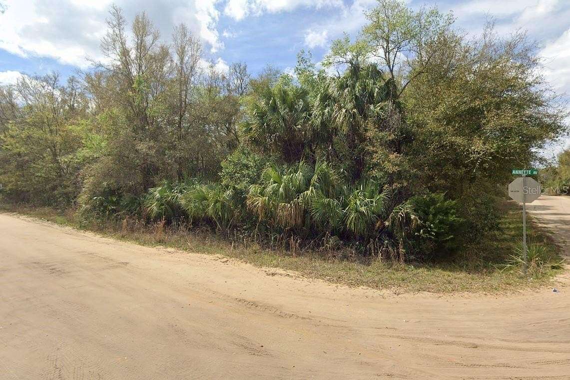 0.22 Acres of Residential Land for Sale in Interlachen, Florida