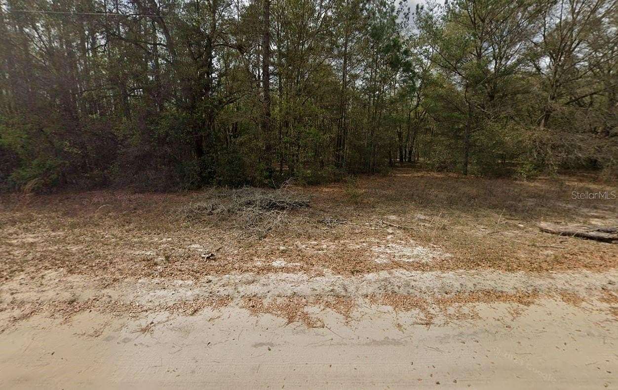 0.22 Acres of Residential Land for Sale in Interlachen, Florida