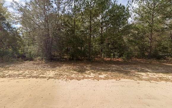 0.22 Acres of Residential Land for Sale in Interlachen, Florida