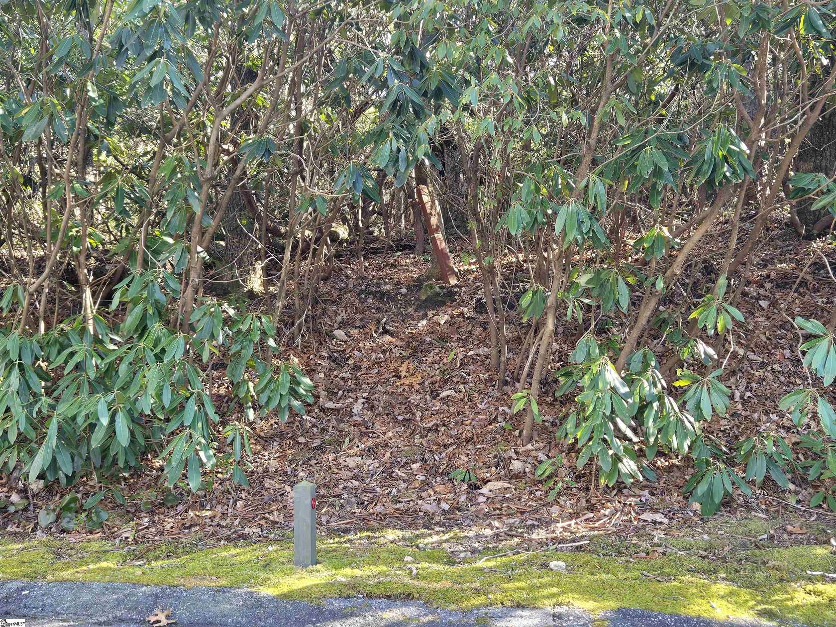 0.75 Acres of Residential Land for Sale in Cleveland, South Carolina