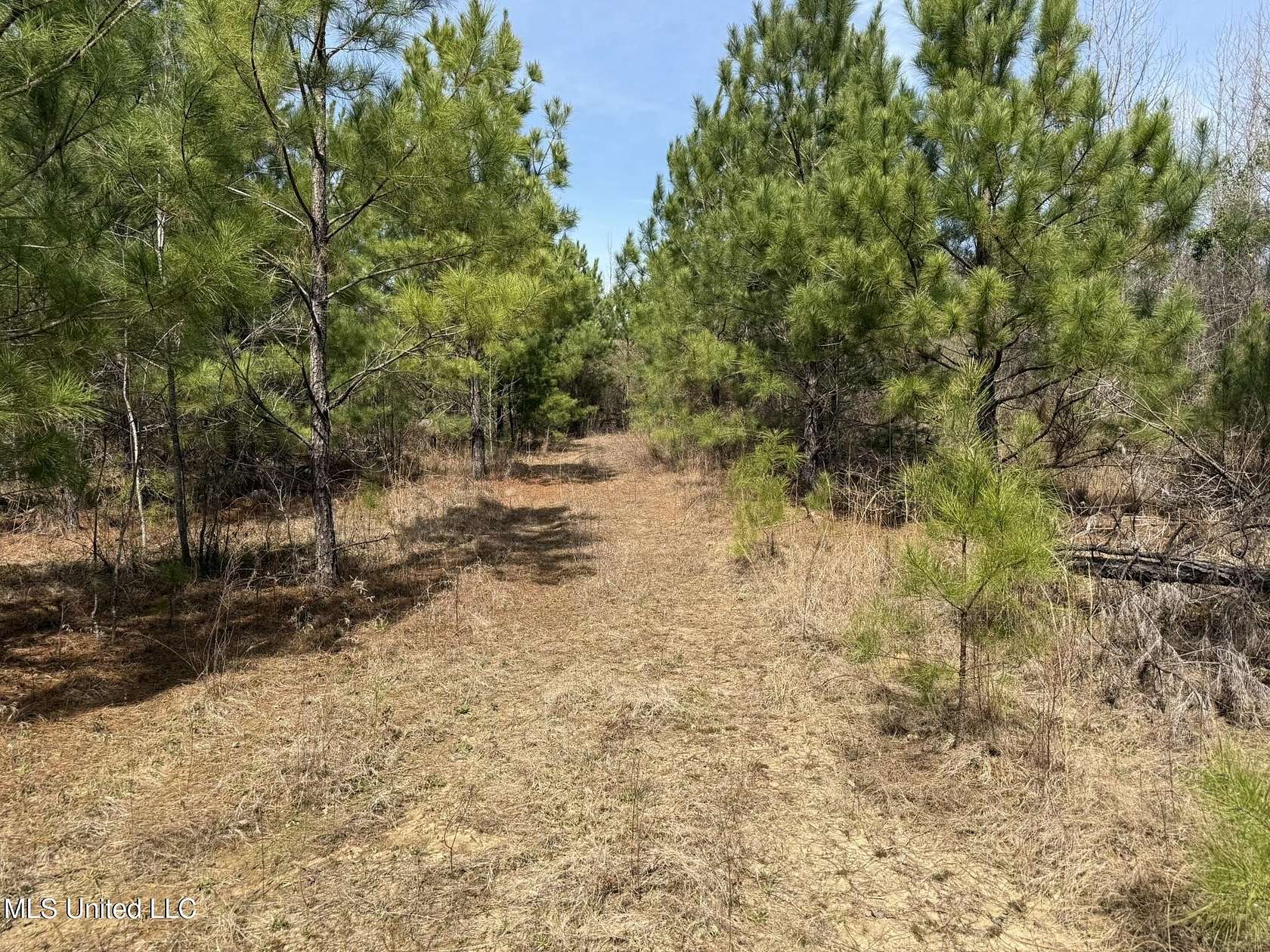 95.5 Acres of Land for Sale in Newton, Mississippi
