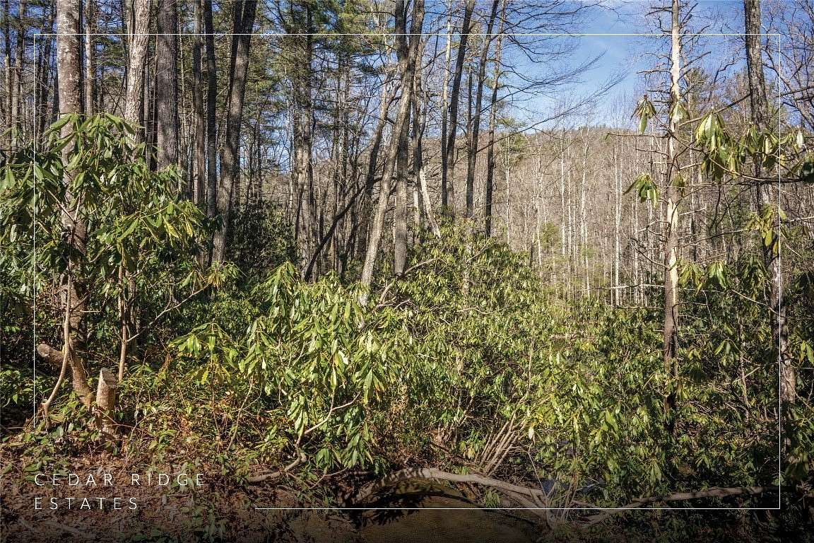 3.66 Acres of Land for Sale in Cashiers, North Carolina