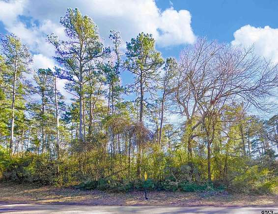 0.45 Acres of Residential Land for Sale in Tyler, Texas