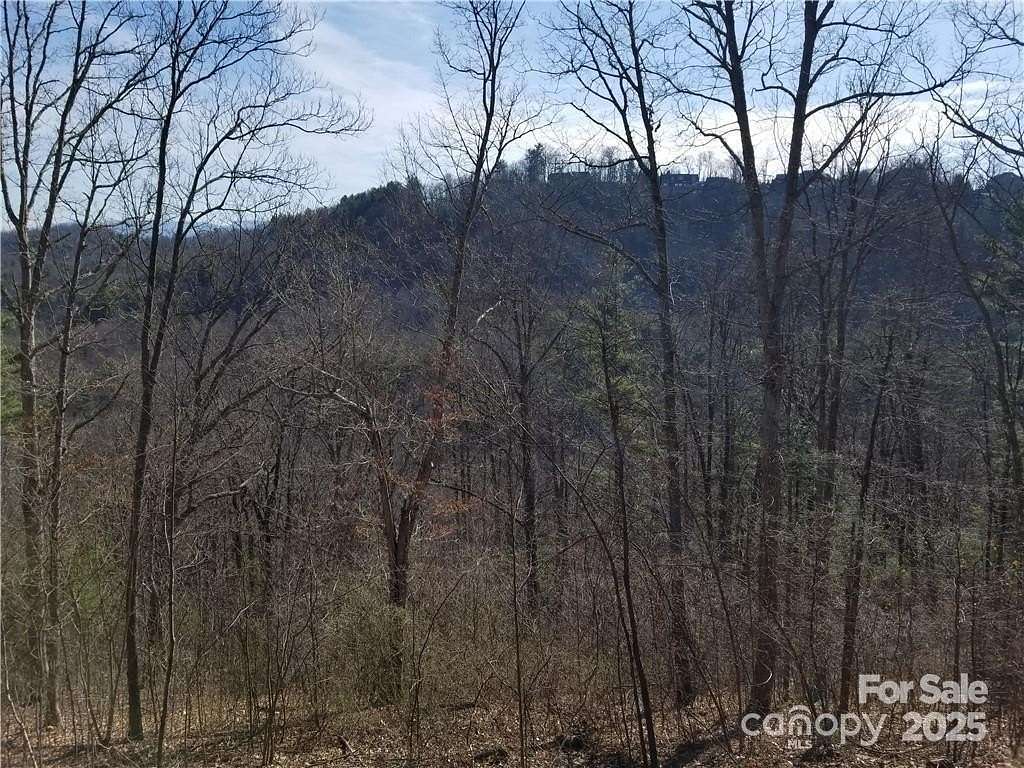 0.8 Acres of Residential Land for Sale in Asheville, North Carolina