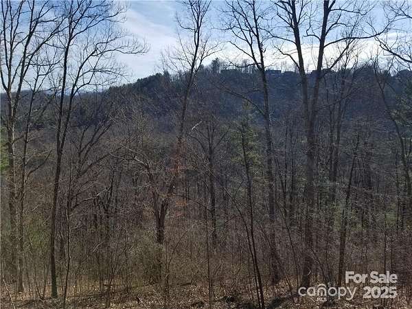 0.8 Acres of Residential Land for Sale in Asheville, North Carolina