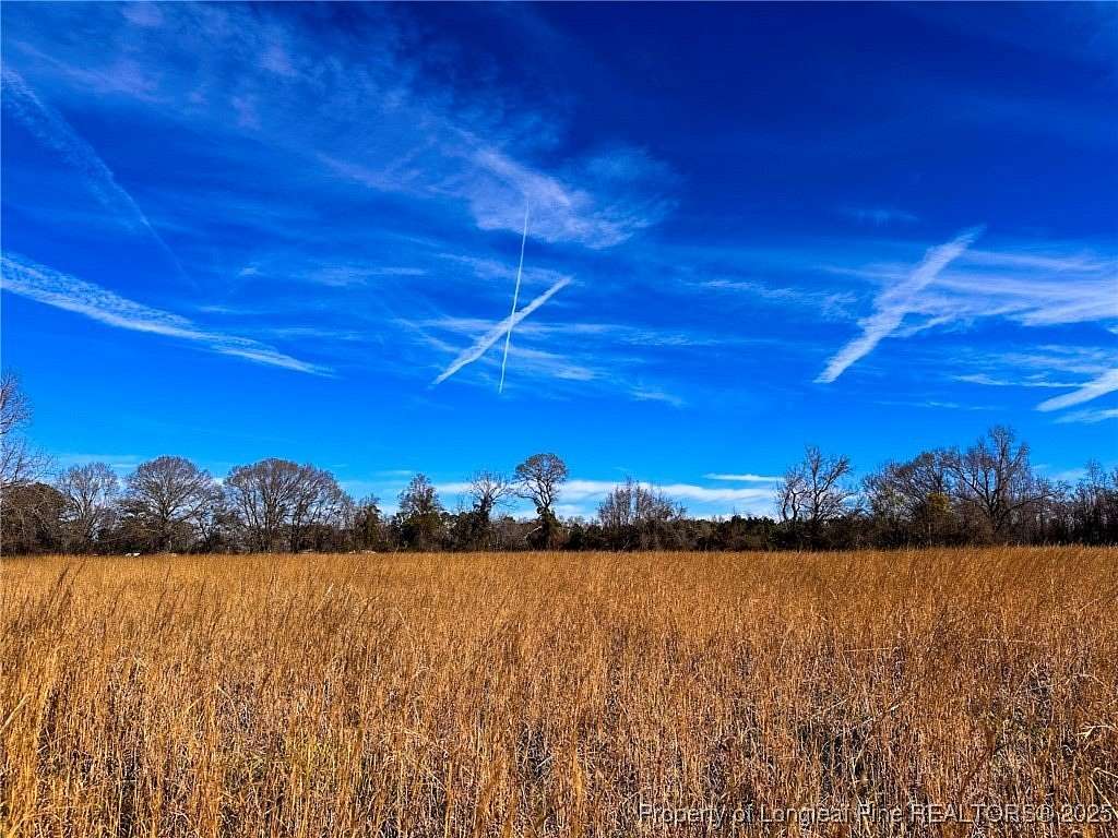 15.7 Acres of Agricultural Land for Sale in Lumberton, North Carolina