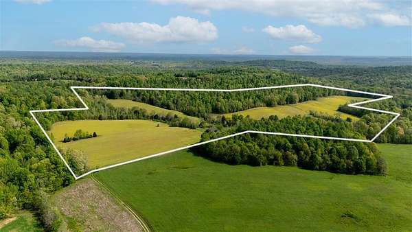 80 Acres of Agricultural Land for Sale in Bowling Green, Kentucky