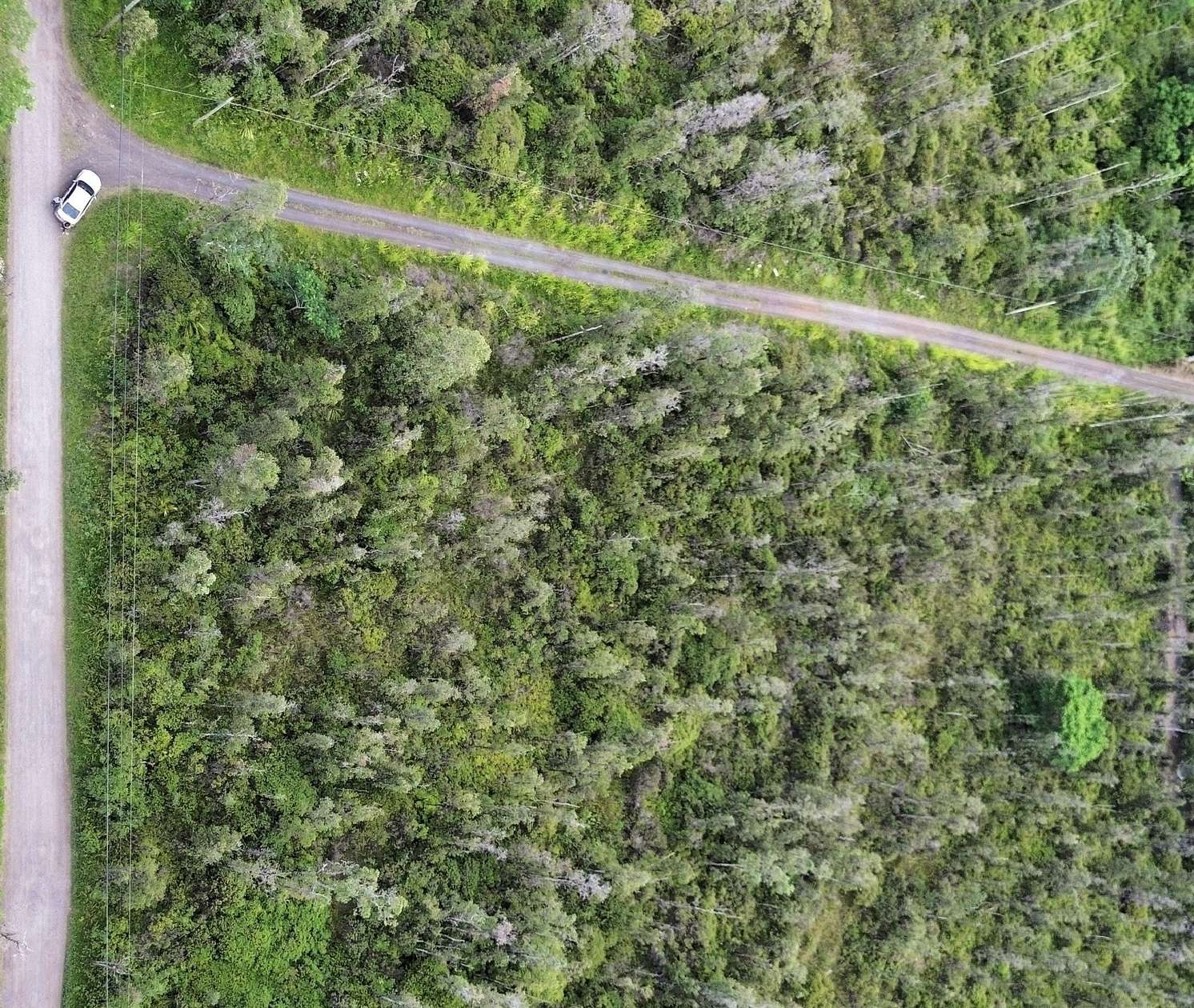 2 Acres of Residential Land for Sale in Kurtistown, Hawaii