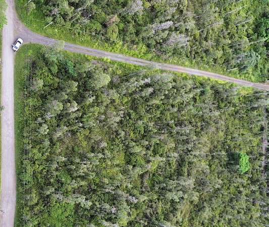 2 Acres of Residential Land for Sale in Kurtistown, Hawaii