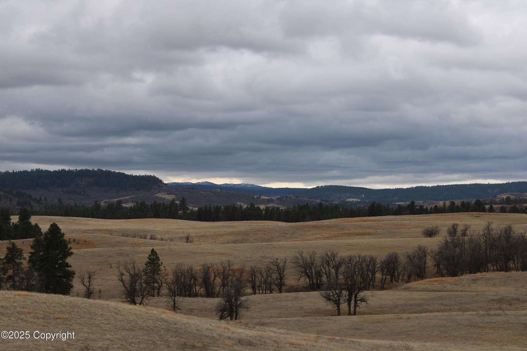 39.3 Acres of Recreational Land for Sale in Alva, Wyoming