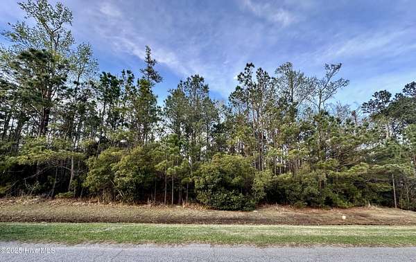 0.52 Acres of Residential Land for Sale in Belhaven, North Carolina