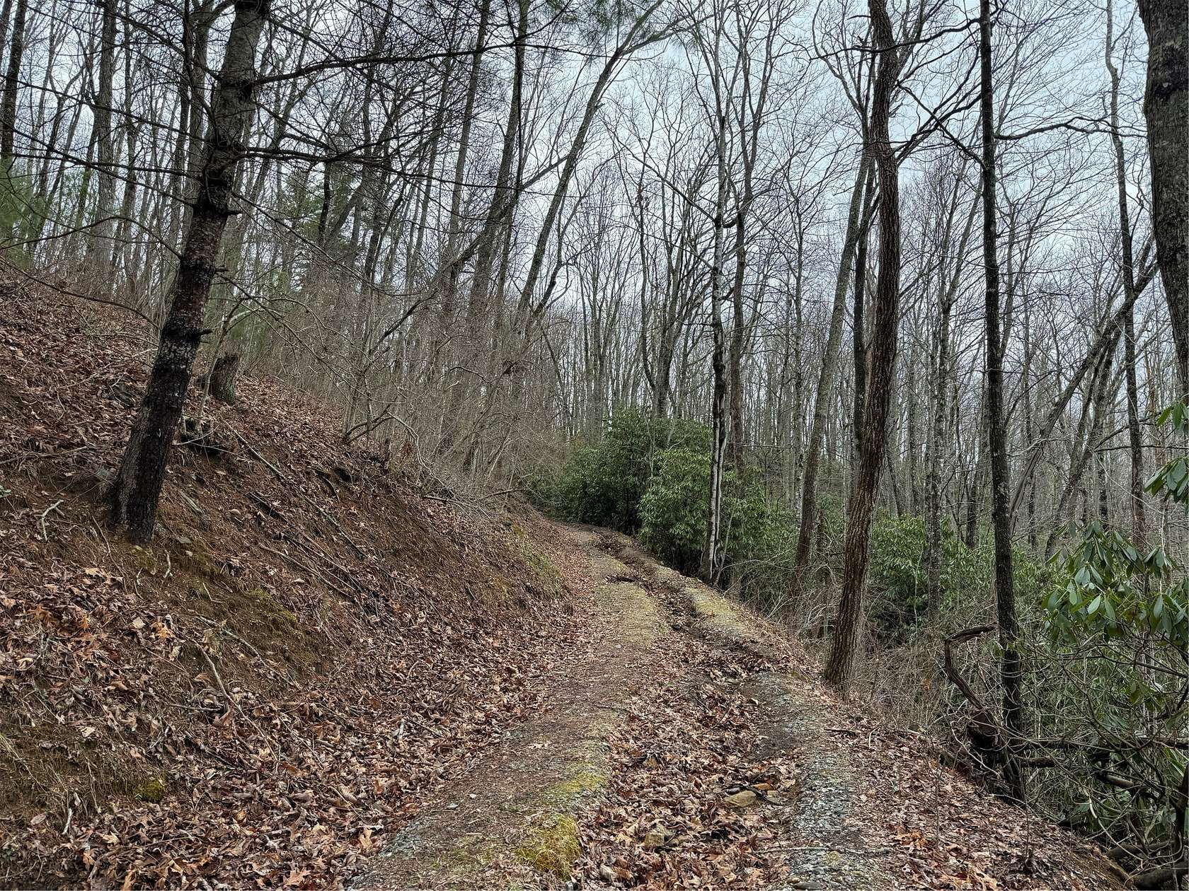 11.5 Acres of Land for Sale in Glenville, North Carolina