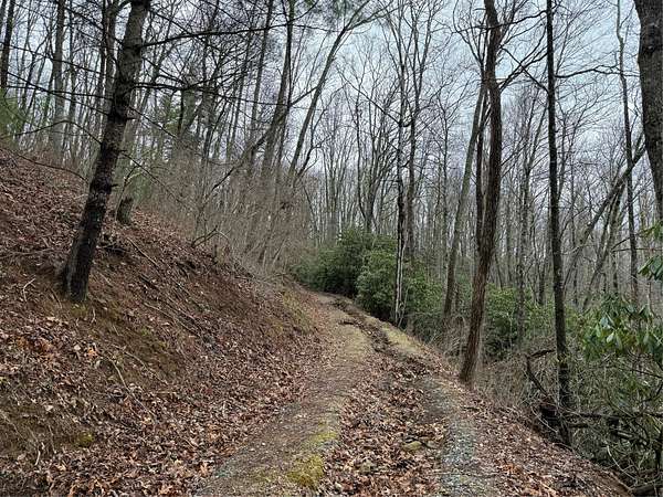 11.5 Acres of Land for Sale in Glenville, North Carolina