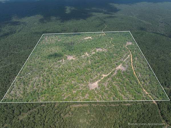 160 Acres of Recreational & Residential Land for Sale in Waldron, Arkansas