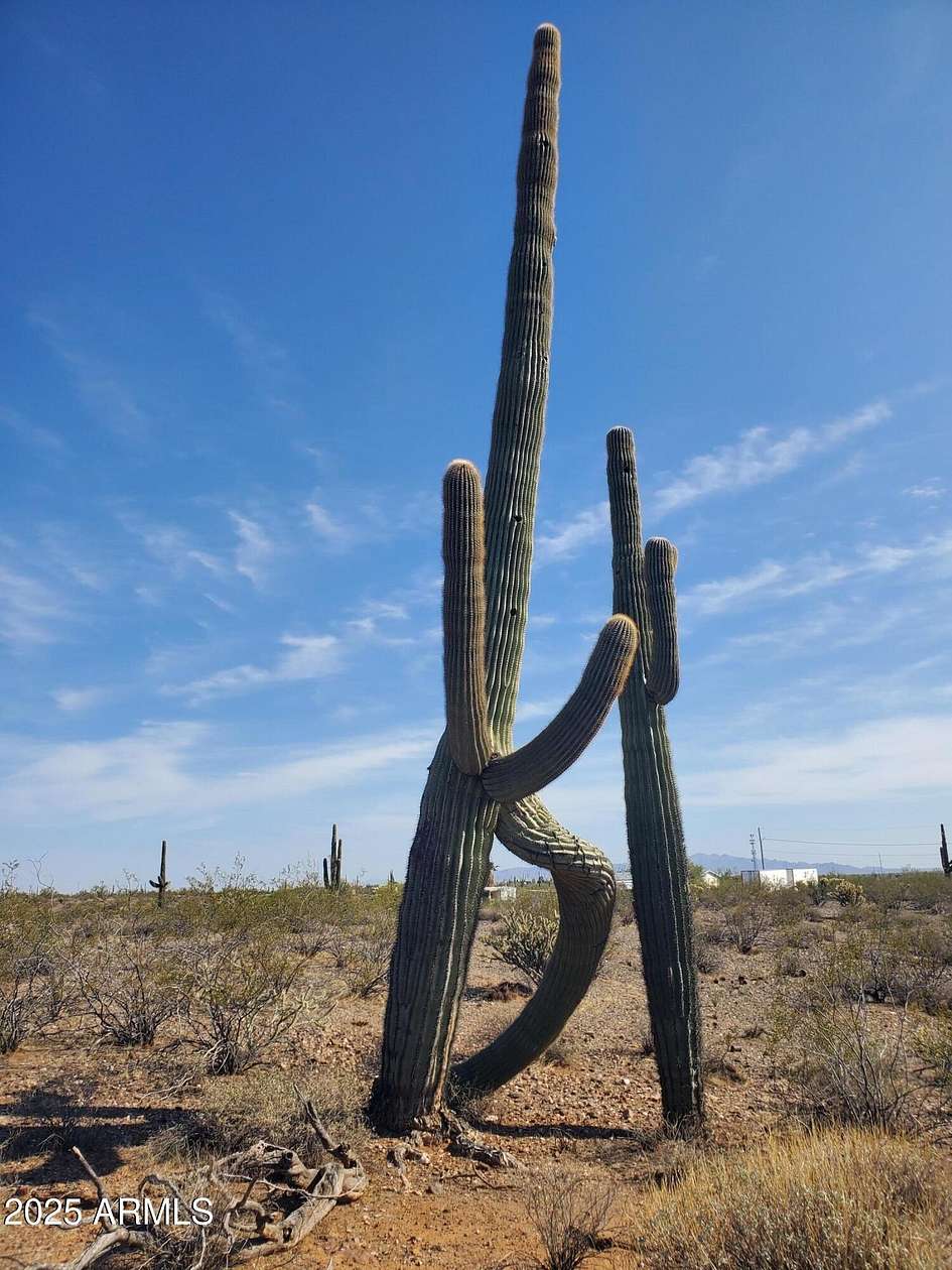 13 Acres of Land for Sale in Morristown, Arizona