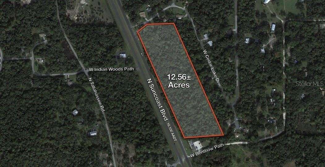 12.6 Acres of Land for Sale in Crystal River, Florida