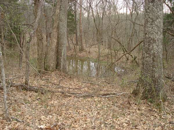 165 Acres of Improved Recreational Land for Sale in Brooksville, Kentucky