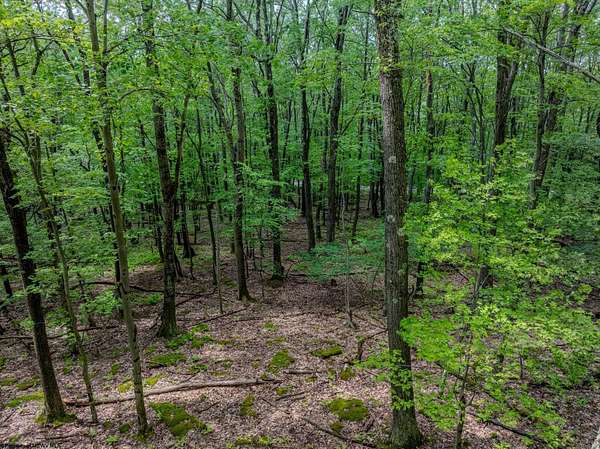 1.12 Acres of Residential Land for Sale in Terra Alta, West Virginia