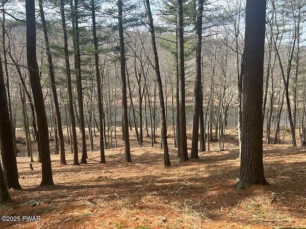 1 Acre of Residential Land for Sale in Hawley, Pennsylvania