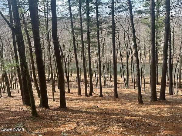 0.96 Acres of Residential Land for Sale in Hawley, Pennsylvania