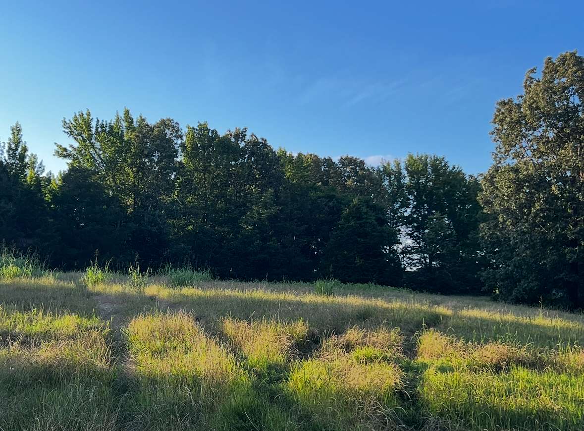 4.7 Acres of Residential Land for Sale in Hernando, Mississippi